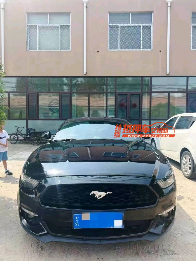 潍坊17年福特野马1