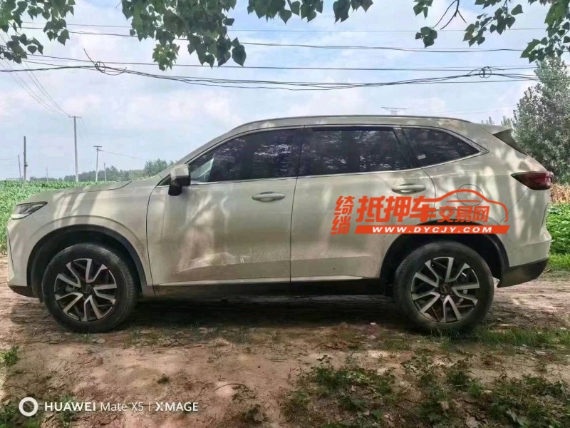 潍坊23年哈弗H65