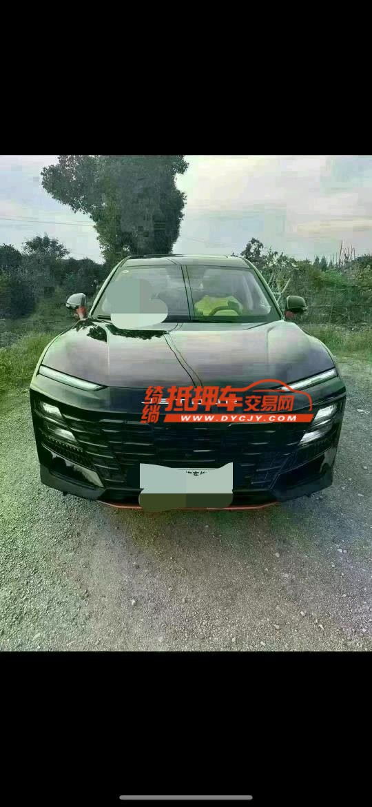 秦皇島24年奇瑞捷途大圣1