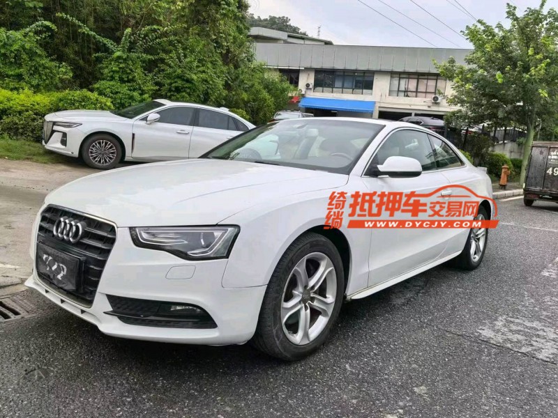 广州14年奥迪A52