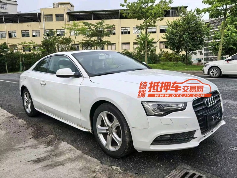 广州14年奥迪A53