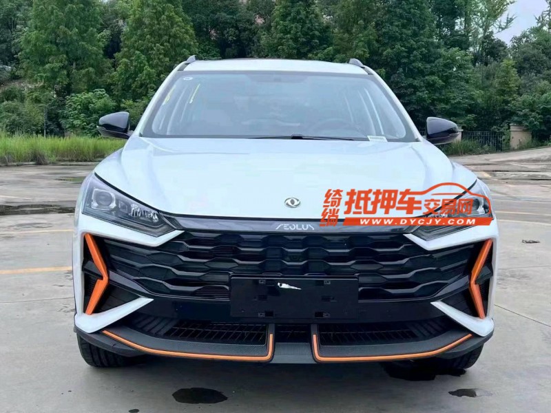 衡陽24年東風奕炫1