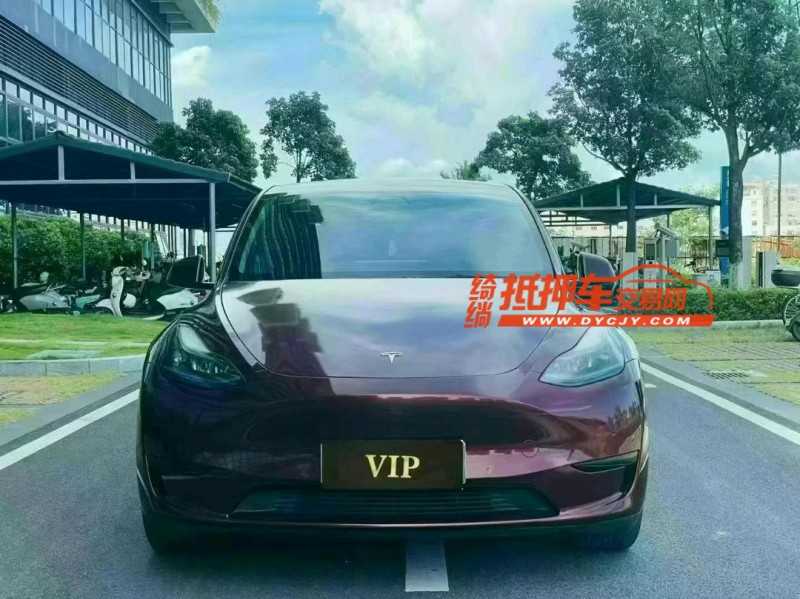 東莞22年特斯拉MODEL Y1