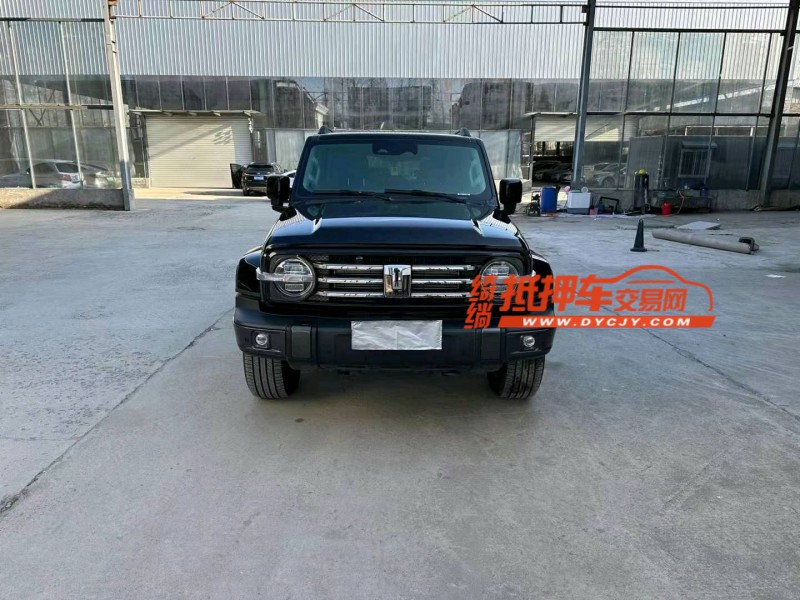 徐州23年長城汽車坦克3001