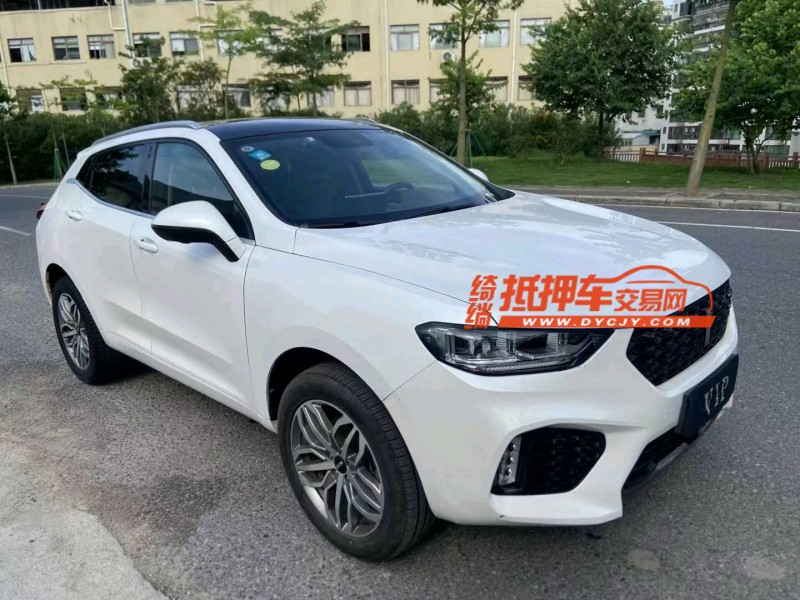 广州18年长城汽车WEY VV53