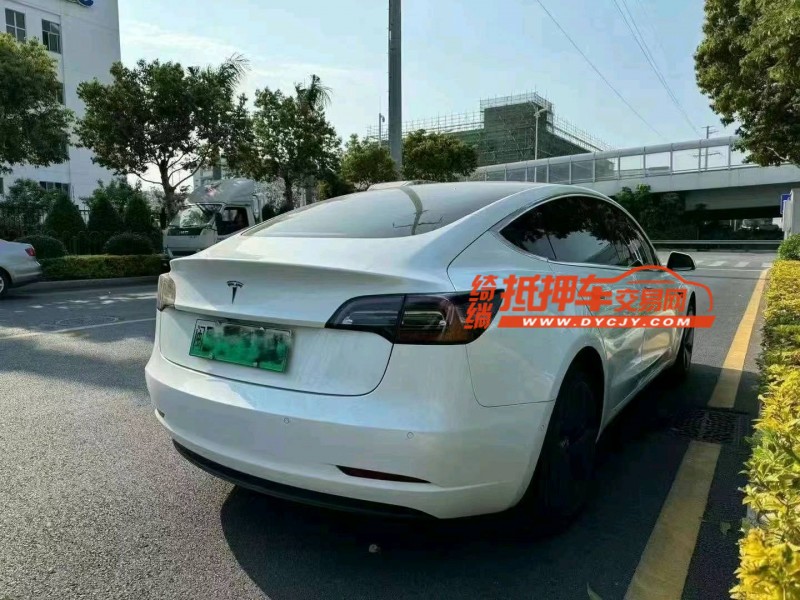 三明20年特斯拉MODEL 33