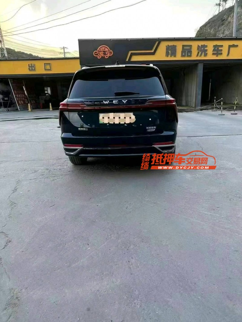 西安23年長城汽車魏派高山2