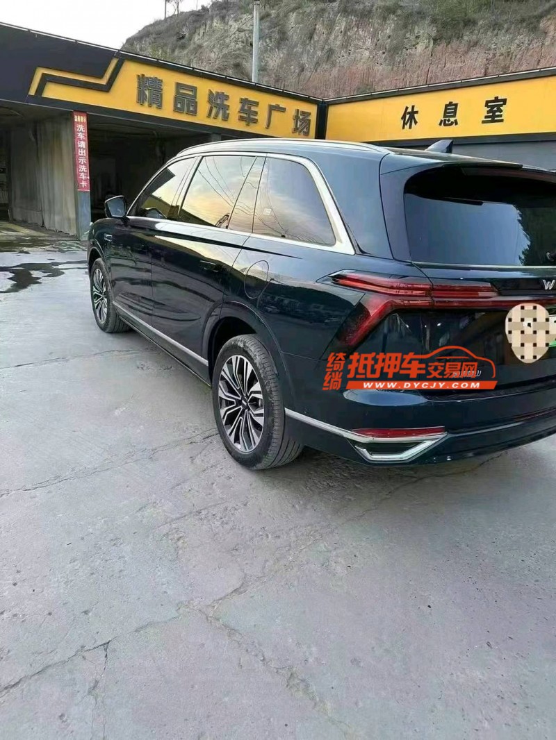 西安23年長城汽車魏派高山6