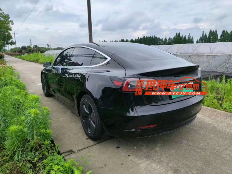 紹興20年特斯拉MODEL 36