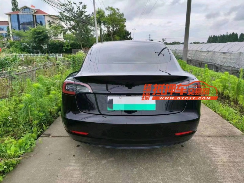 紹興20年特斯拉MODEL 37