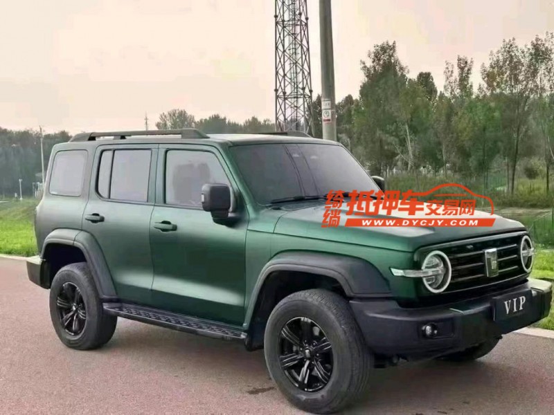 潍坊23年长城汽车坦克3002