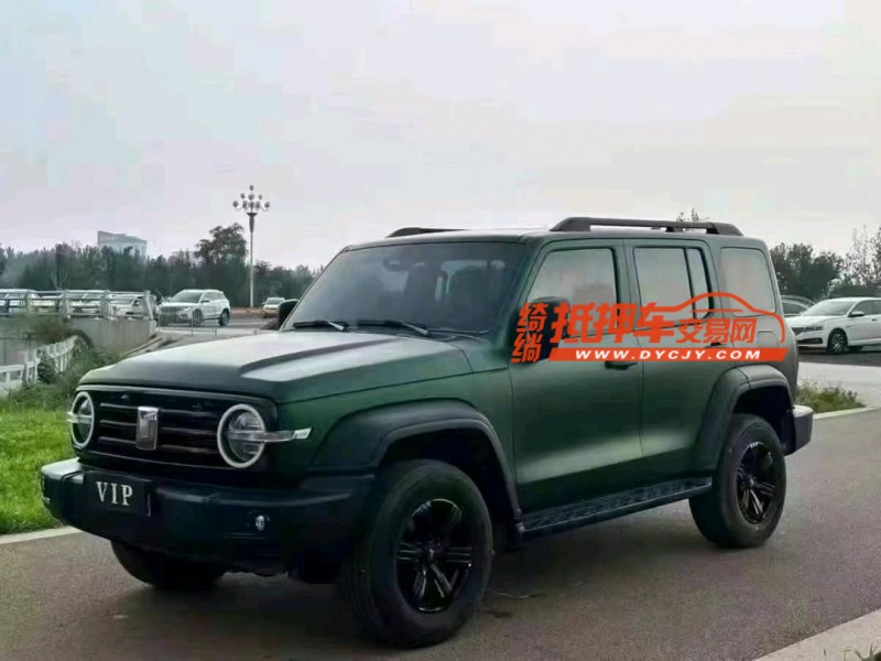 潍坊23年长城汽车坦克3005