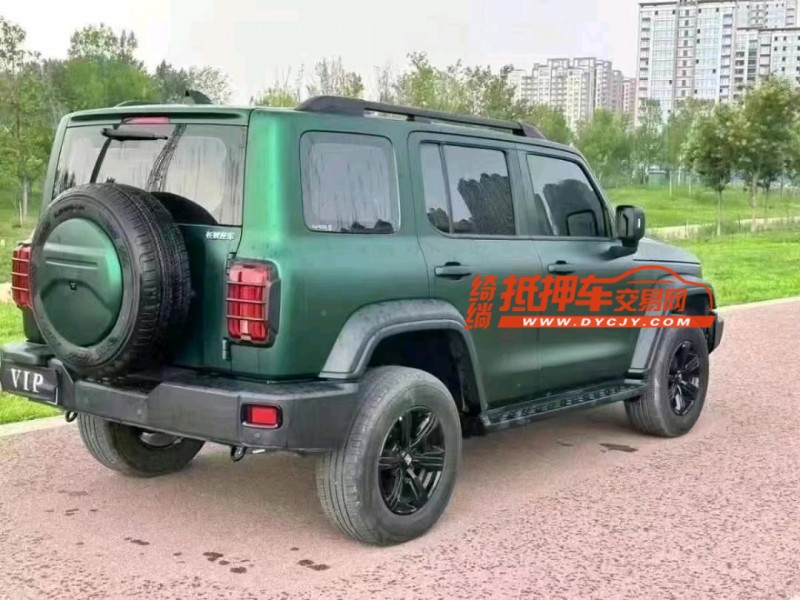 潍坊23年长城汽车坦克3006