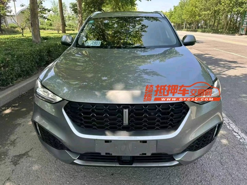 苏州19年长城汽车WEY VV61