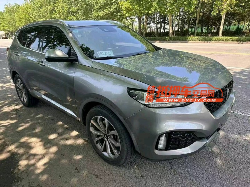 苏州19年长城汽车WEY VV62