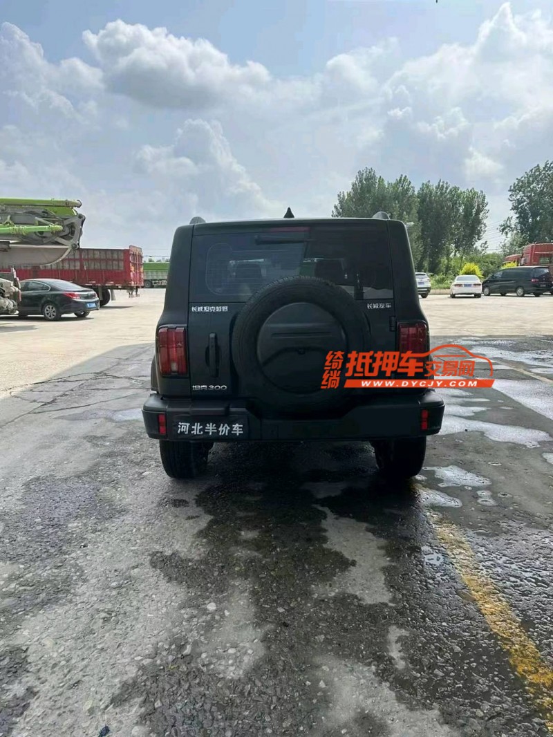 保定24年长城汽车坦克3009