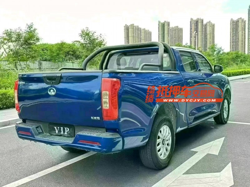东莞20年长城汽车炮 皮卡7