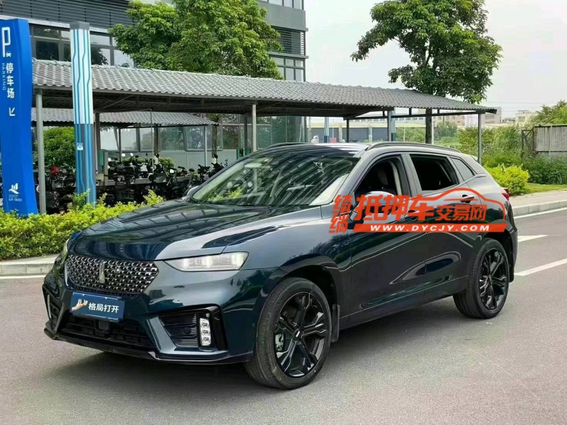 东莞20年长城汽车WEY VV73
