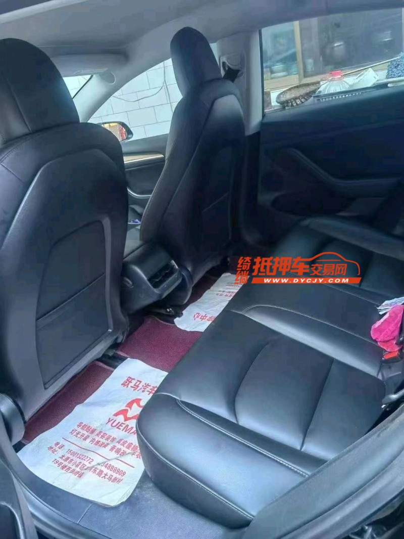 晉城21年特斯拉MODEL 32