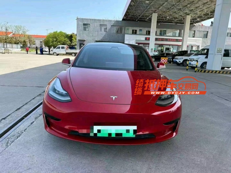 保定22年特斯拉MODEL 31