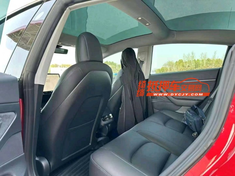 保定22年特斯拉MODEL 36