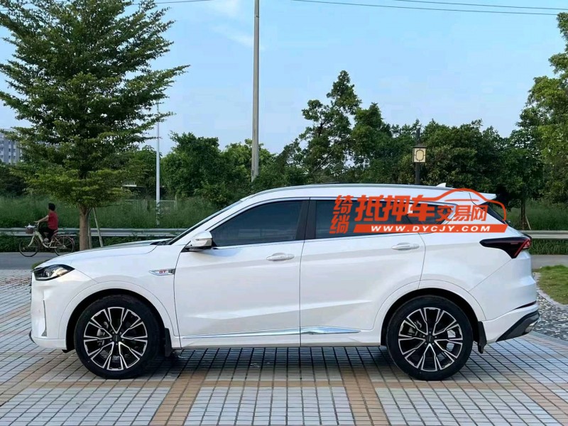 汕头23年奇瑞捷途X703