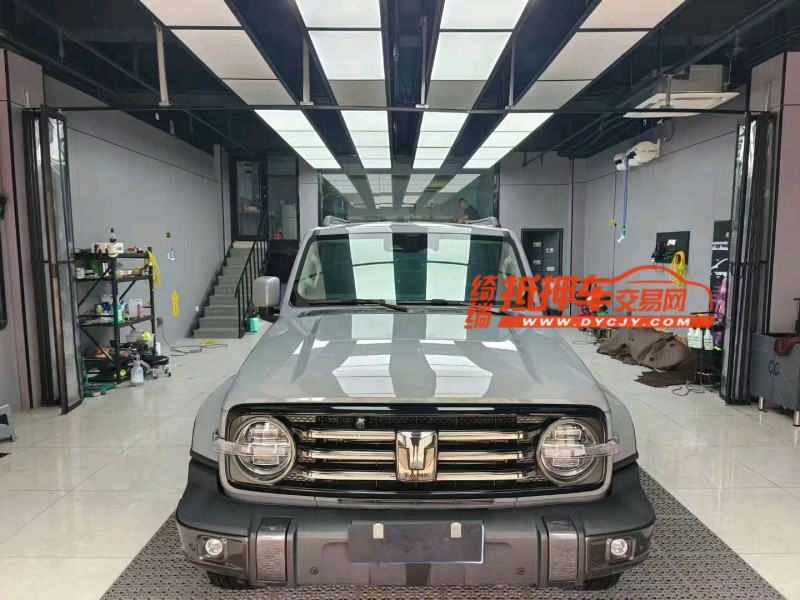 潍坊22年长城汽车坦克3001