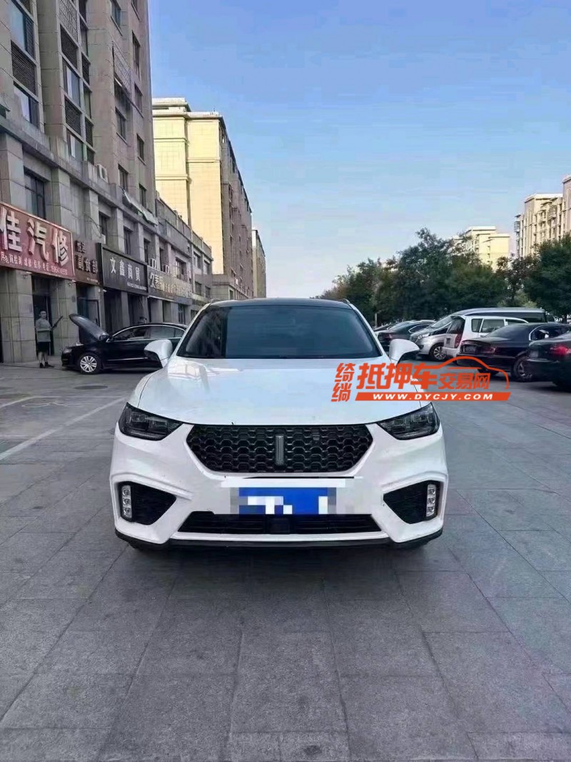 東營21年長城汽車WEY VV51
