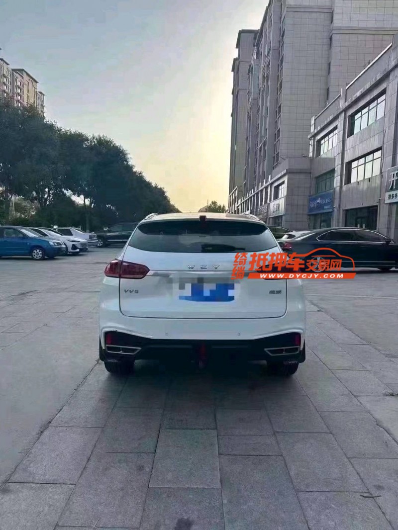 東營21年長城汽車WEY VV55