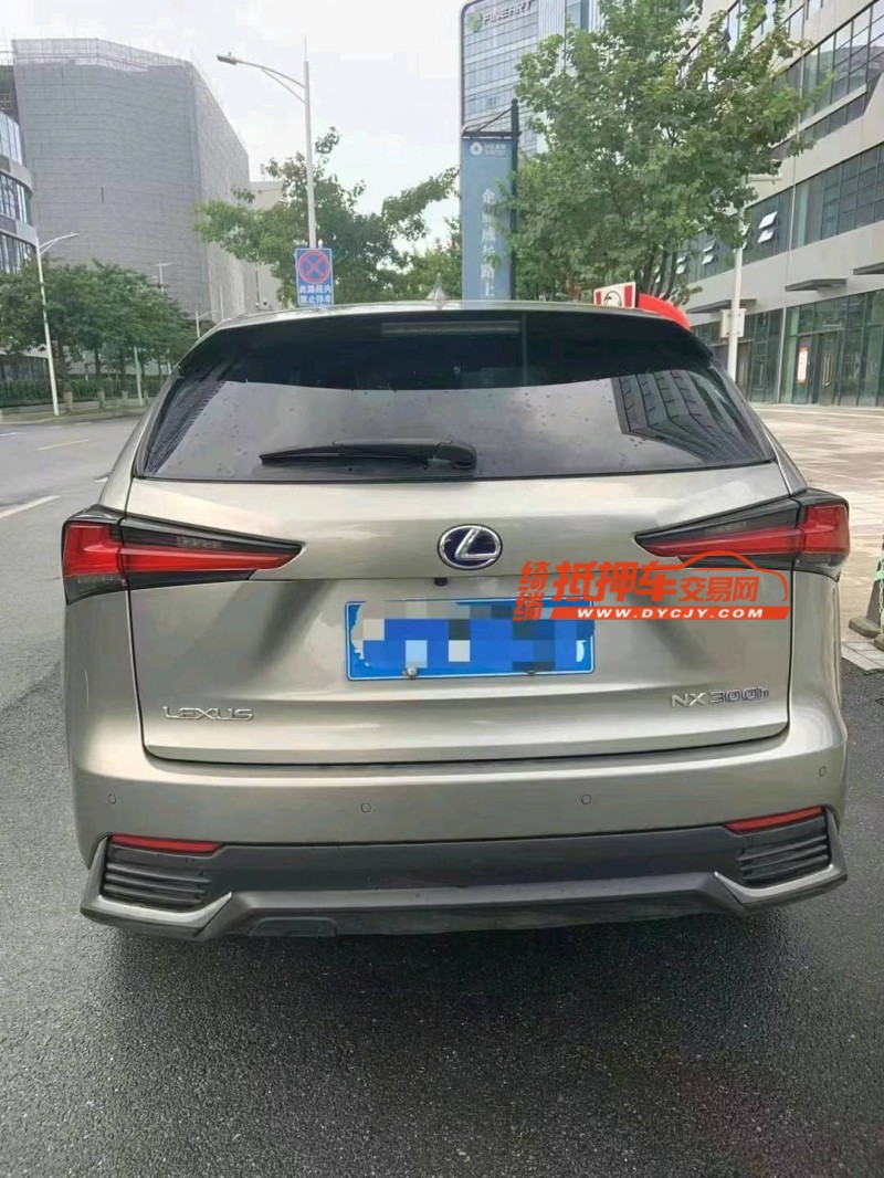 广州20年雷克萨斯NX9