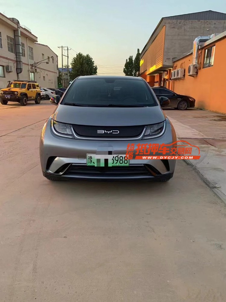 邢台24年比亚迪海豚1