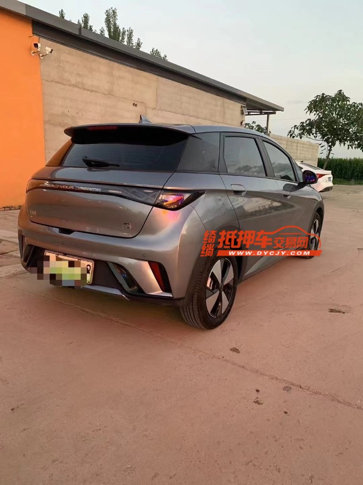 邢台24年比亚迪海豚7