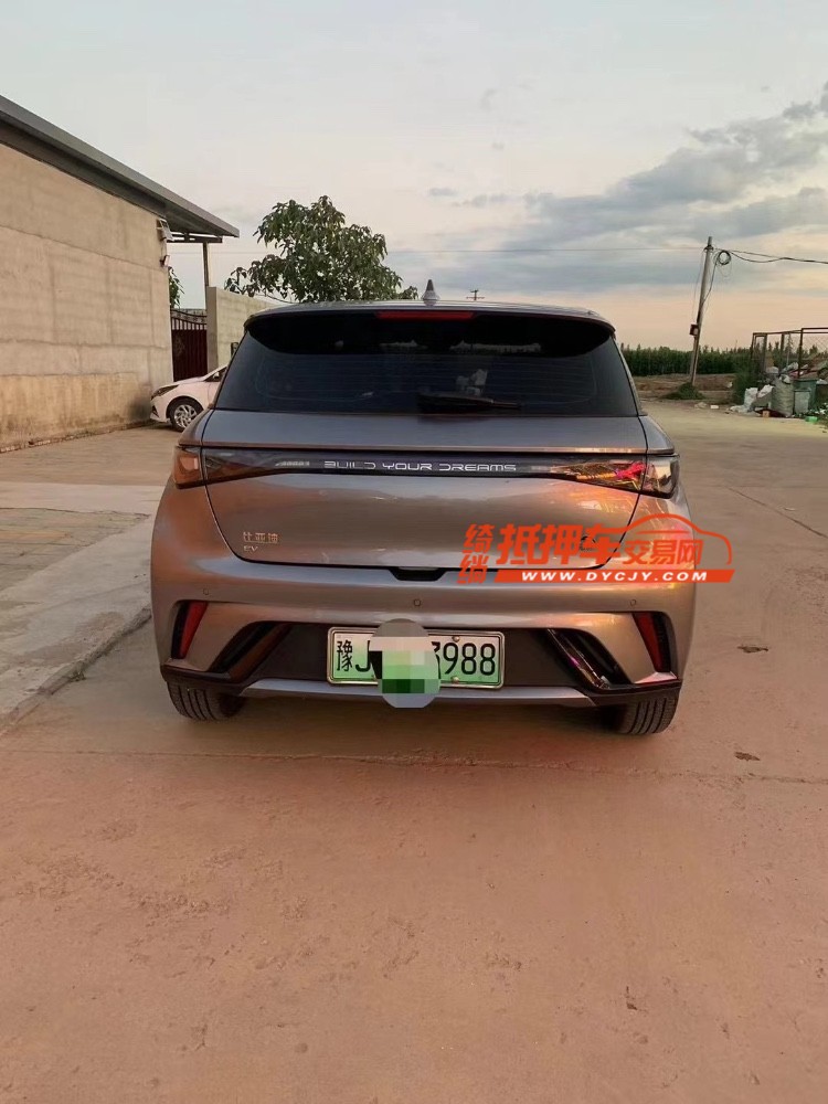 邢台24年比亚迪海豚8