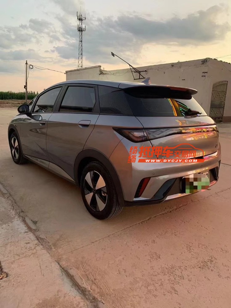 邢台24年比亚迪海豚9