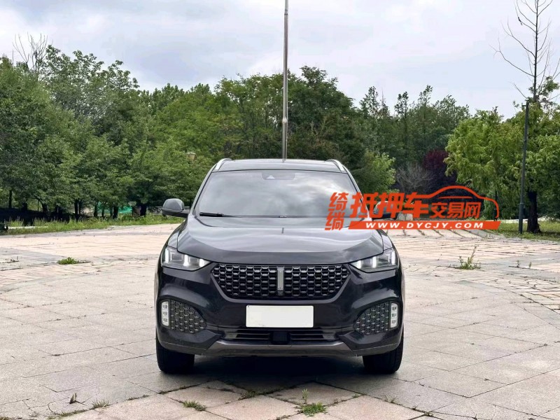 淄博20年长城汽车WEY VV61