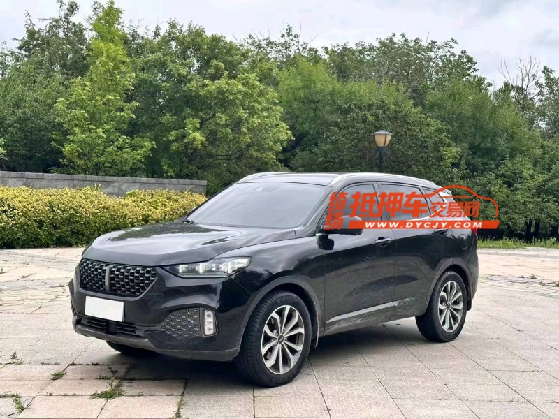 淄博20年长城汽车WEY VV62