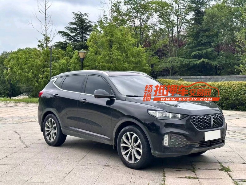 淄博20年长城汽车WEY VV63
