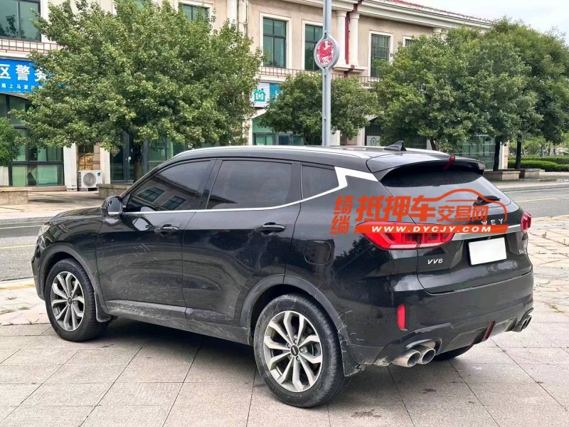 淄博20年长城汽车WEY VV64