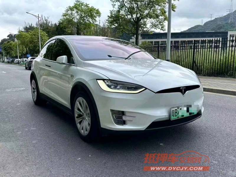 廣州19年特斯拉MODEL X2