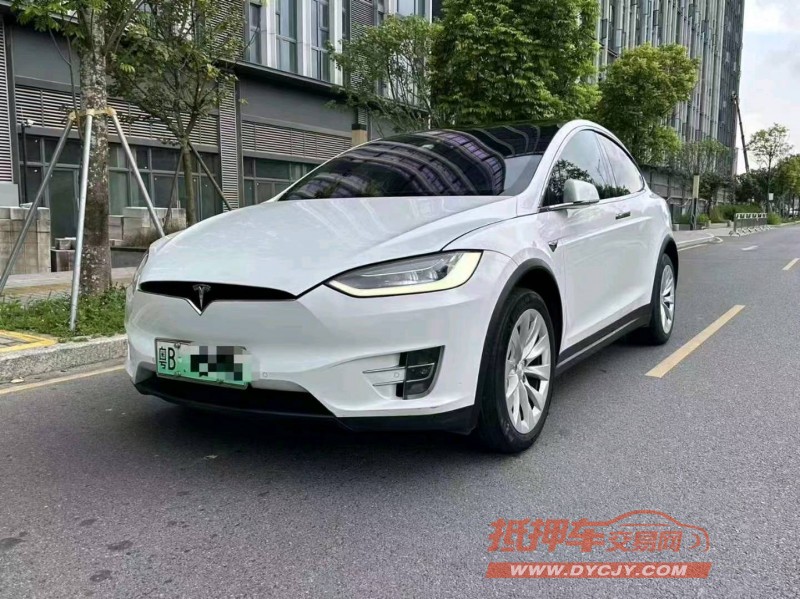 廣州19年特斯拉MODEL X3