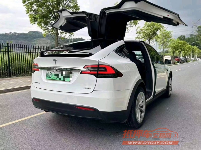 廣州19年特斯拉MODEL X7
