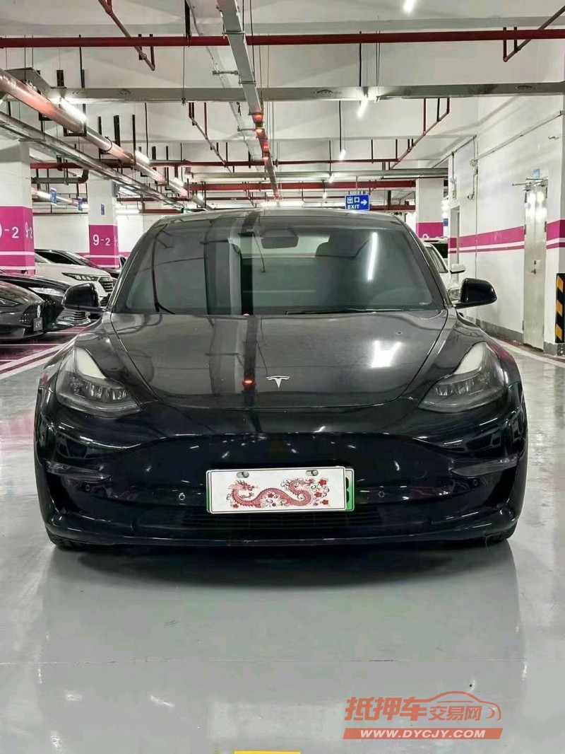 廣州21年特斯拉MODEL 31