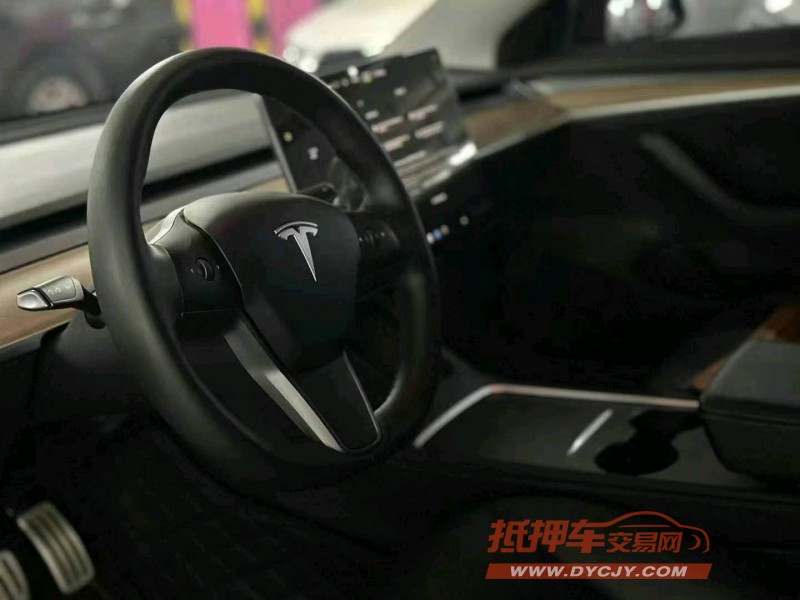 廣州21年特斯拉MODEL 36