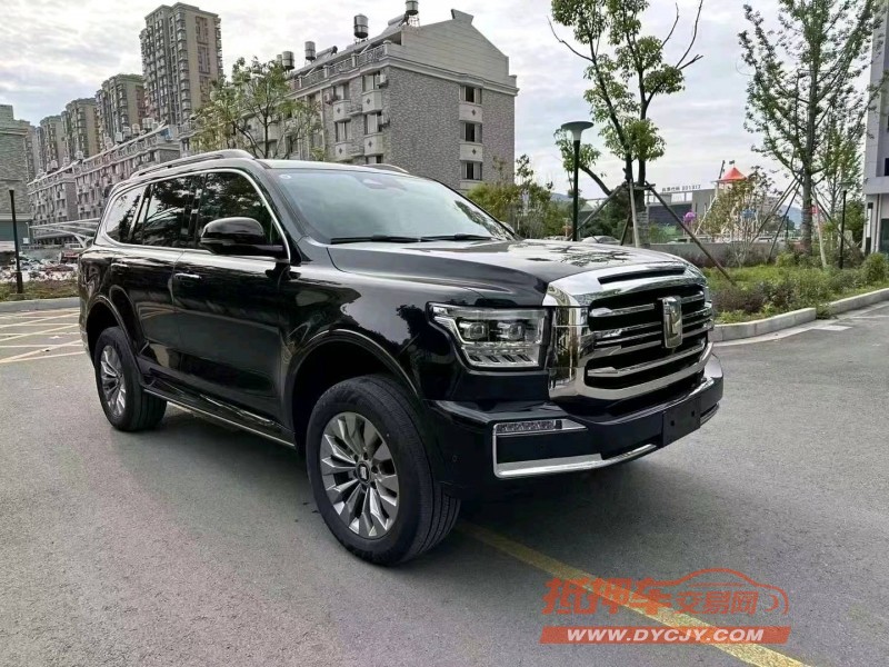 杭州24年長城汽車坦克5002