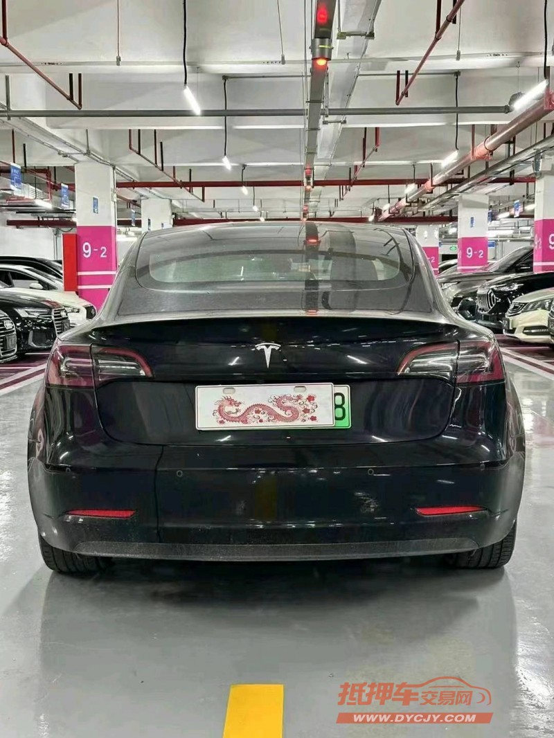 廣州21年特斯拉MODEL 39