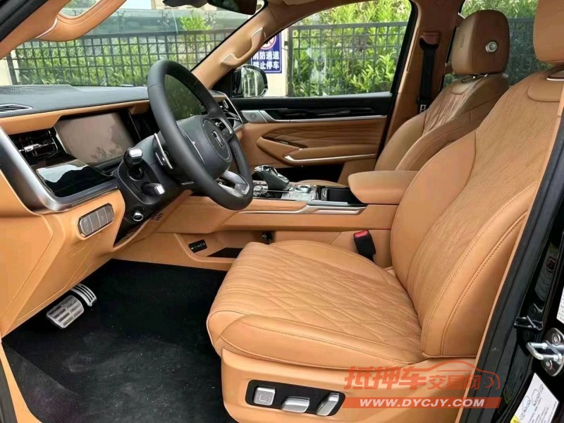 杭州24年長城汽車坦克5005