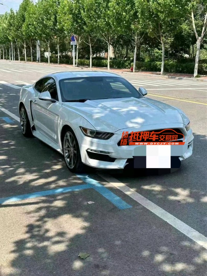 烟台16年福特野马2