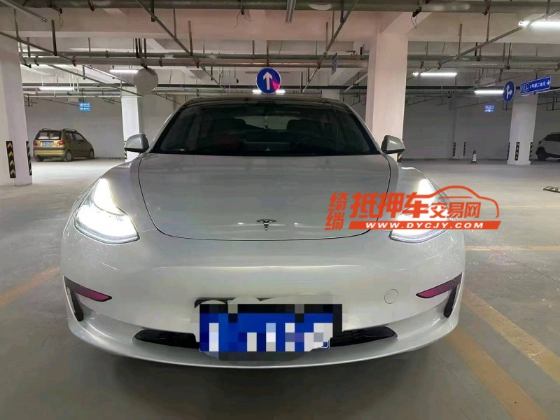 棗莊22年特斯拉MODEL 31