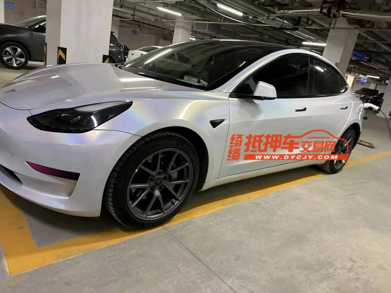 棗莊22年特斯拉MODEL 32