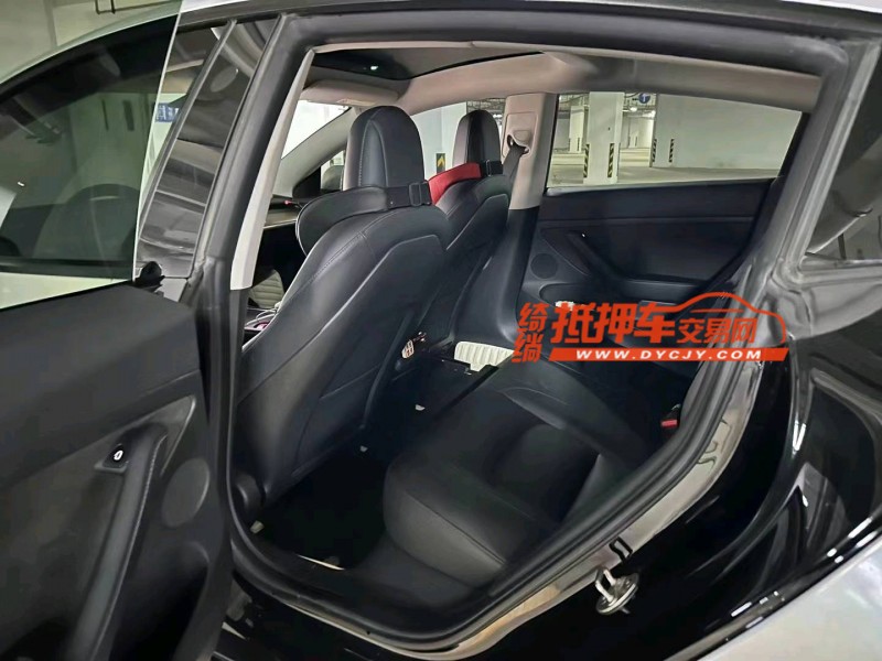 棗莊22年特斯拉MODEL 34